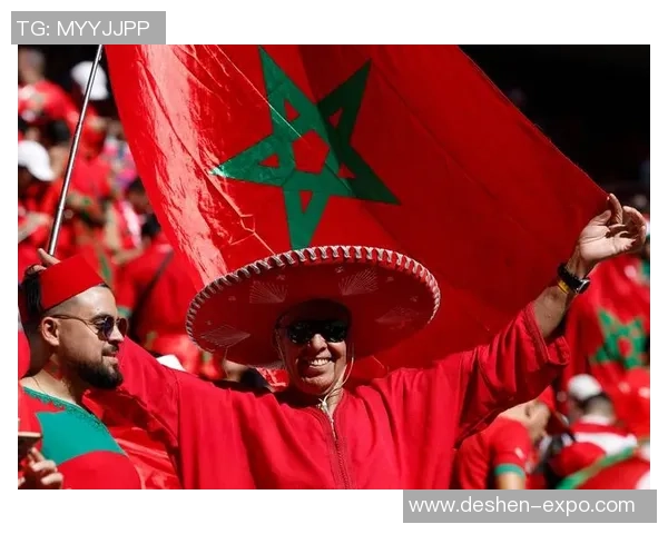 摩洛哥队与伊朗队亚盘分析及比赛前瞻详解